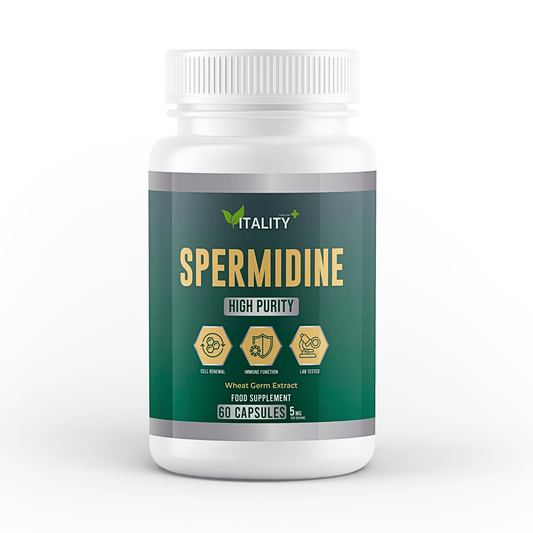 High-Potency Spermidine Capsules 5mg - 60 Capsules, 1 Month Supply - Cellular Health & Longevity Support Supplement - Vitality Supplements