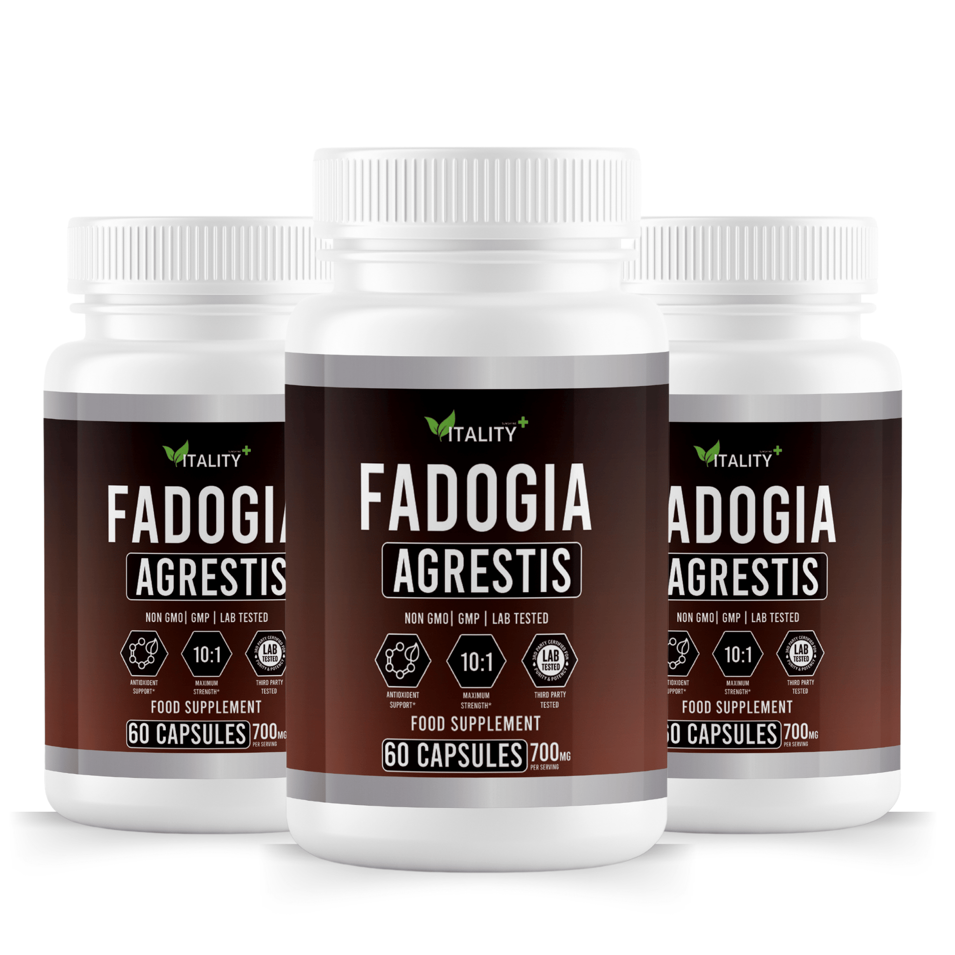 Fadogia Agrestis Supplement - 700mg | 3-Month Supply | Natural Testosterone Support - Vitality Supplements